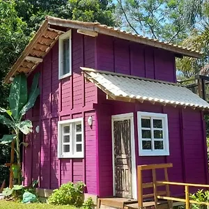 Violeta Aquarela Bombinhas